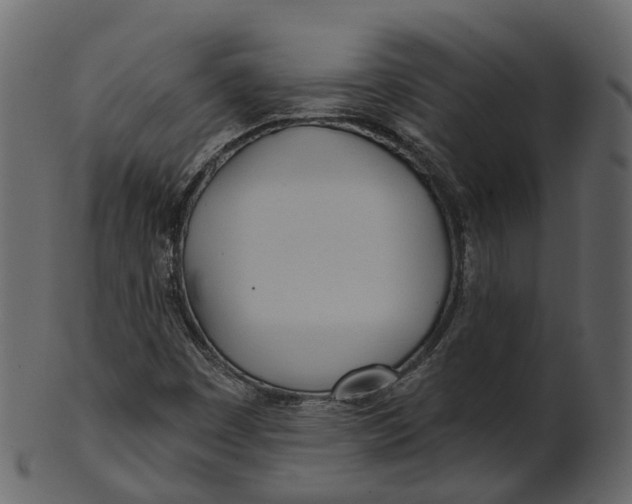 X0000100471449200807031816