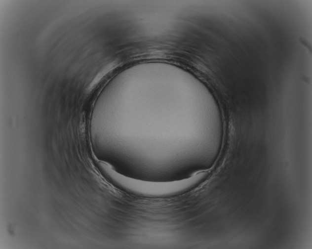 X0000100471450200807031816