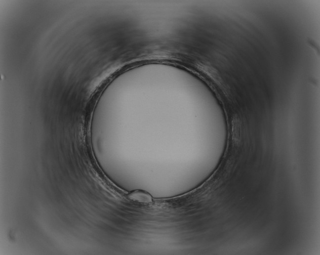 X0000100471452200807031816