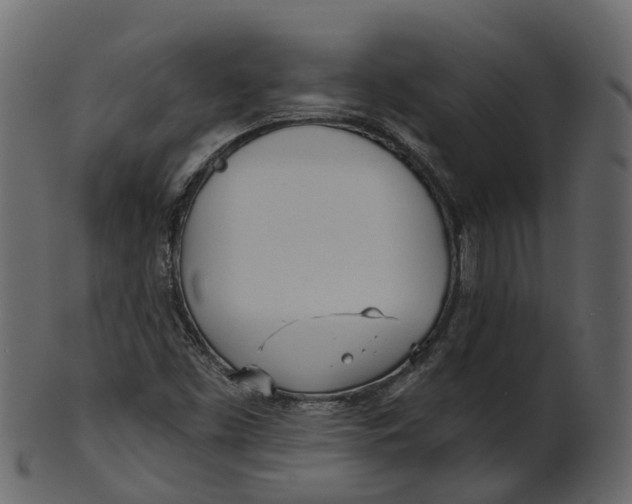 X0000100471453200807031816