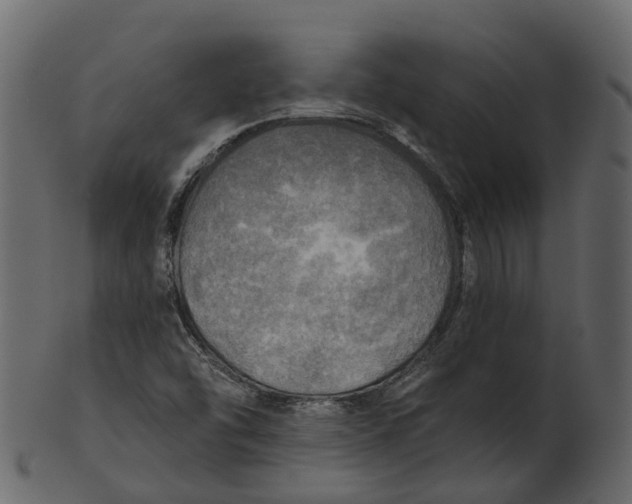 X0000100471454200807031816