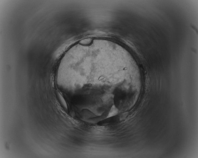 X0000100471455200807031816