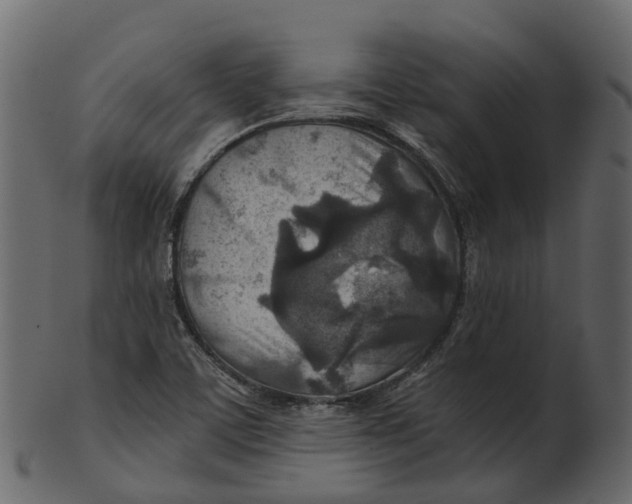 X0000100471459200807031816