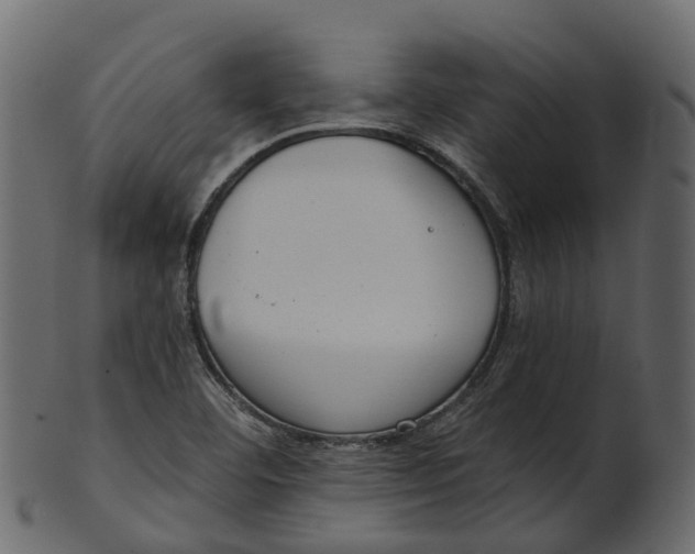 X0000100471460200807031816