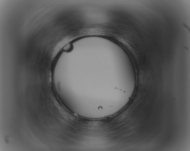 X0000100471461200807031816