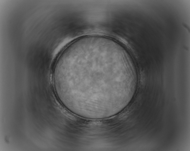 X0000100471462200807031816