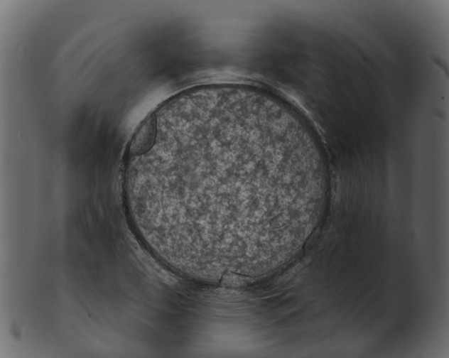 X0000100471463200807031816