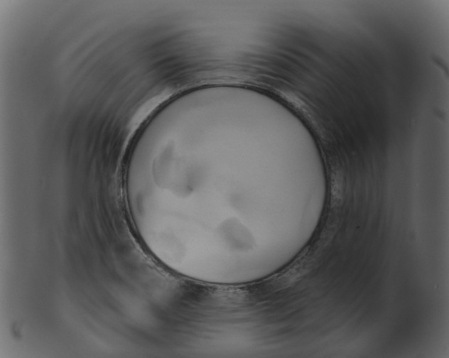 X0000100471466200807031816