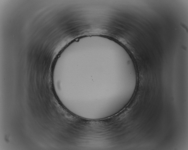 X0000100471469200807031816