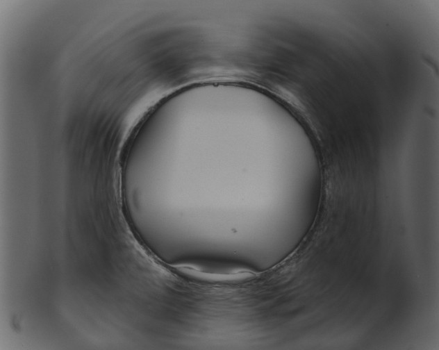 X0000100471472200807031816