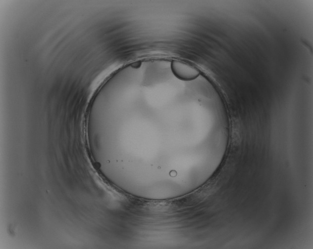 X0000100471474200807031816