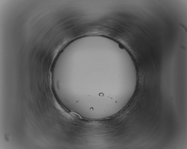 X0000100471476200807031816