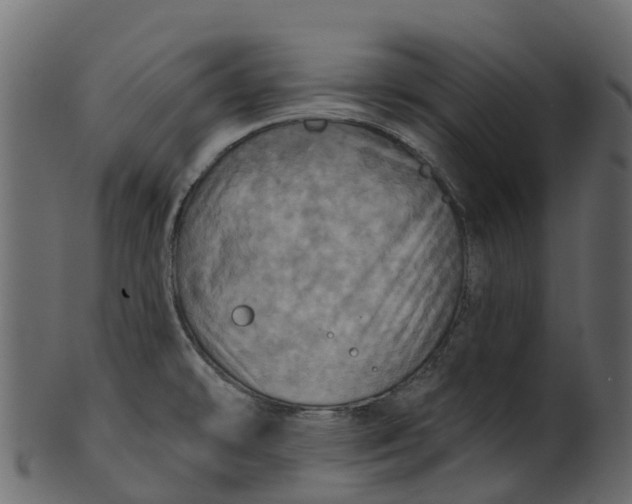 X0000100471478200807031816