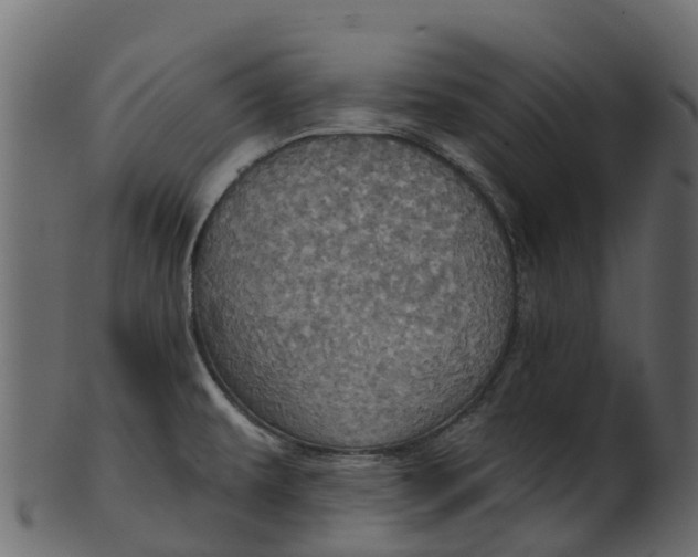 X0000100471479200807031816