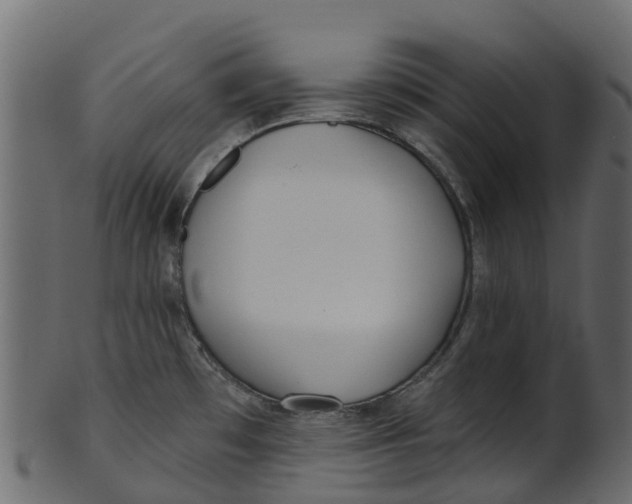 X0000100471481200807031816