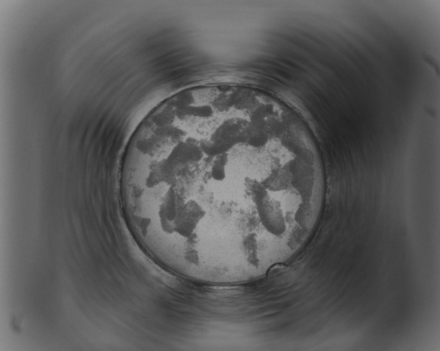 X0000100471483200807031815