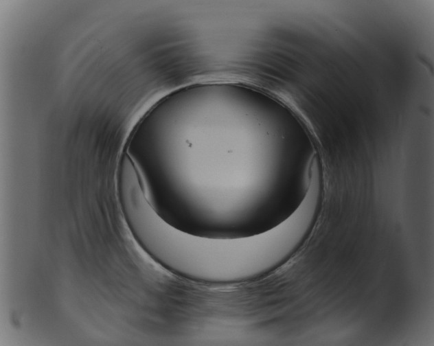 X0000100471484200807031815