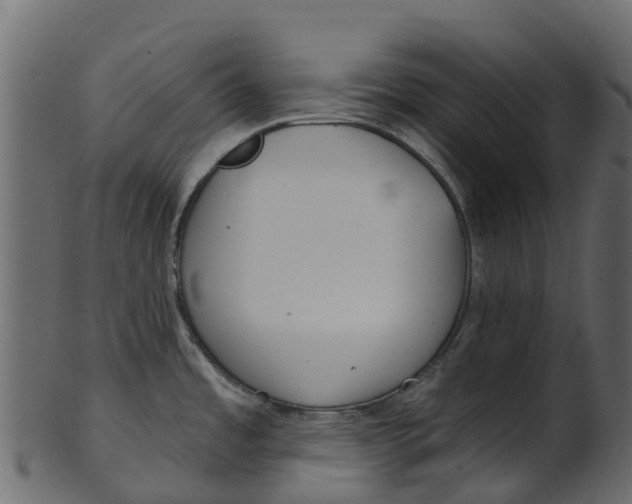 X0000100471485200807031815