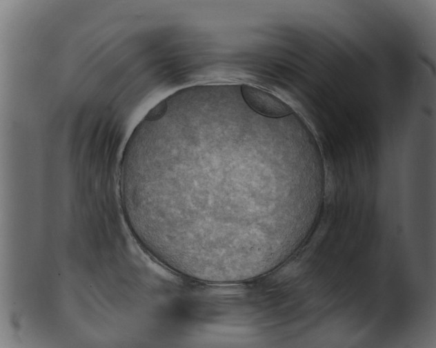 X0000100471486200807031815