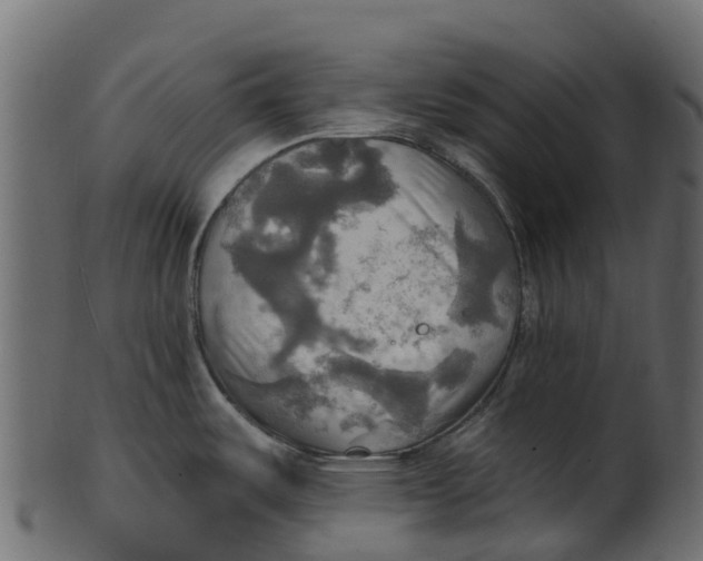 X0000100471487200807031815