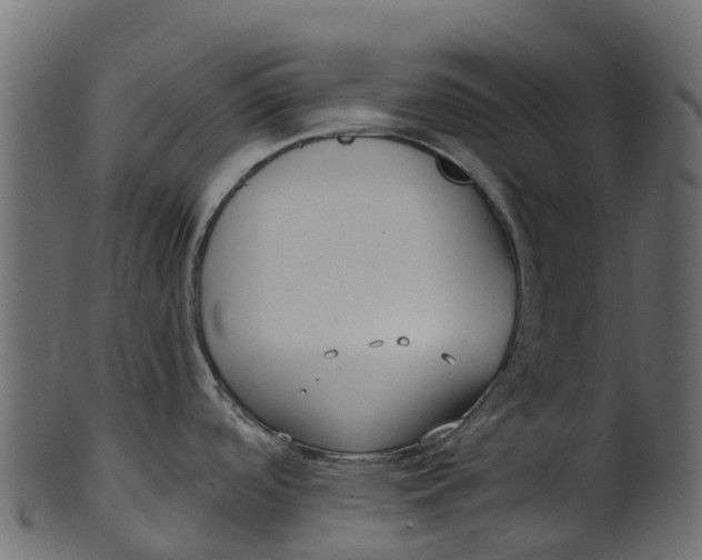 X0000100471488200807031815