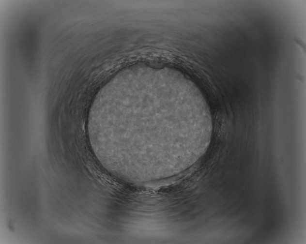 X0000100471489200807031815