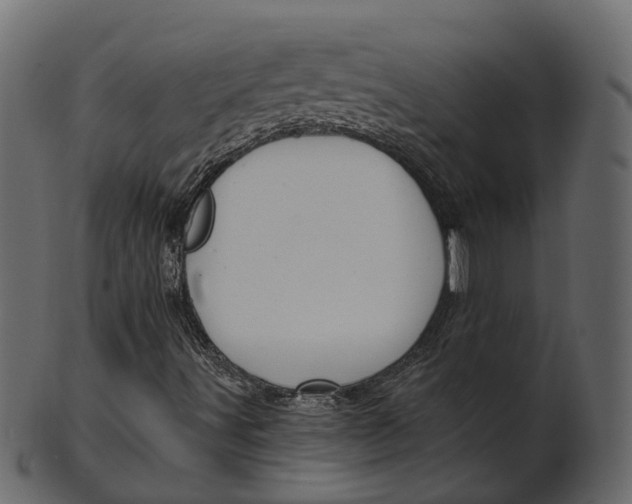 X0000100471491200807031815