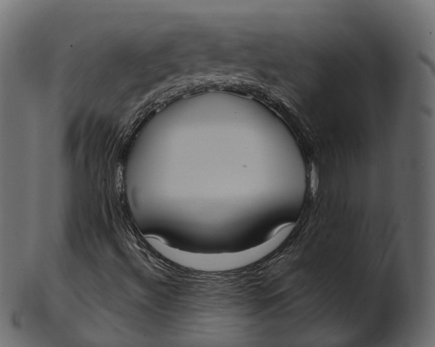 X0000100471492200807031815