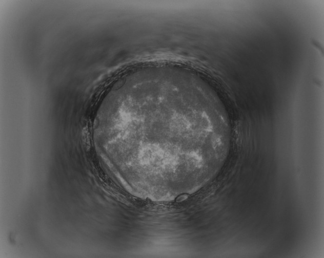 X0000100471493200807031815