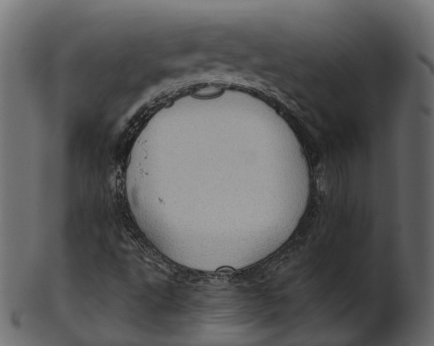 X0000100471495200807031815