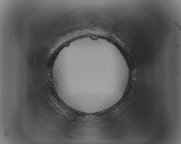 X0000100471496200807031815