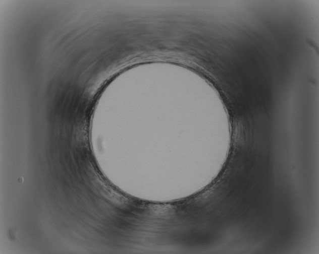 X0000100471498200807031815