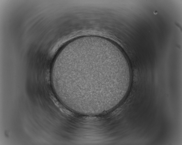 X0000100471499200807031815