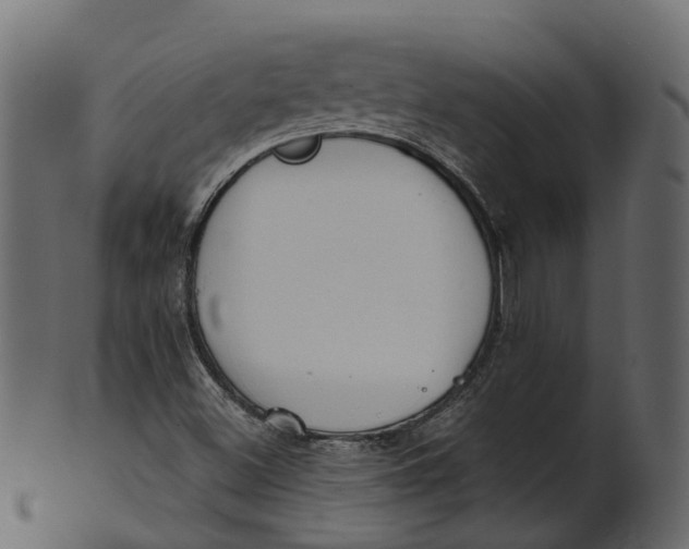 X0000100471500200807031815