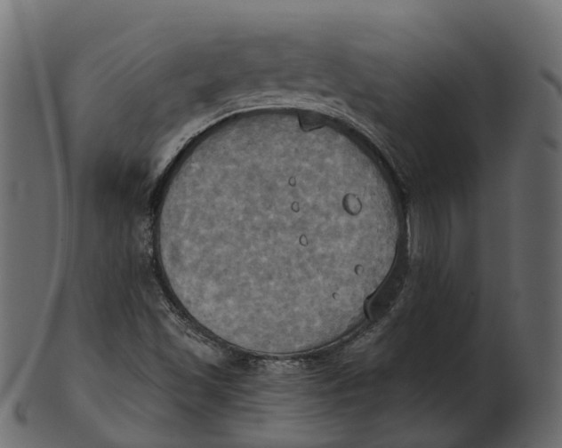 X0000100471501200807031815