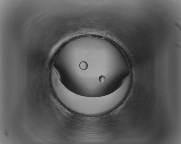 X0000100471502200807031815