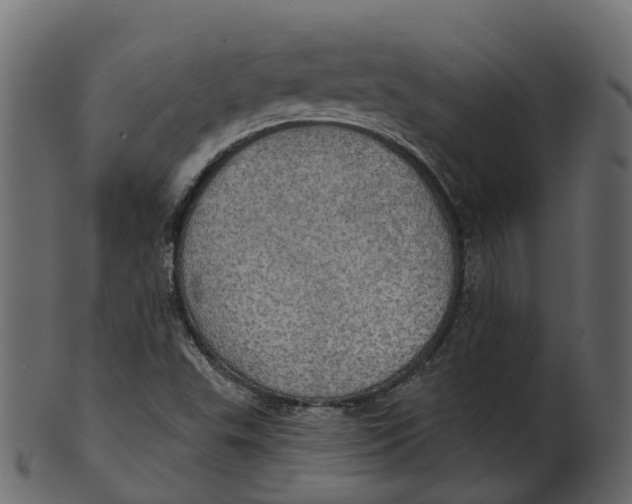 X0000100471503200807031815