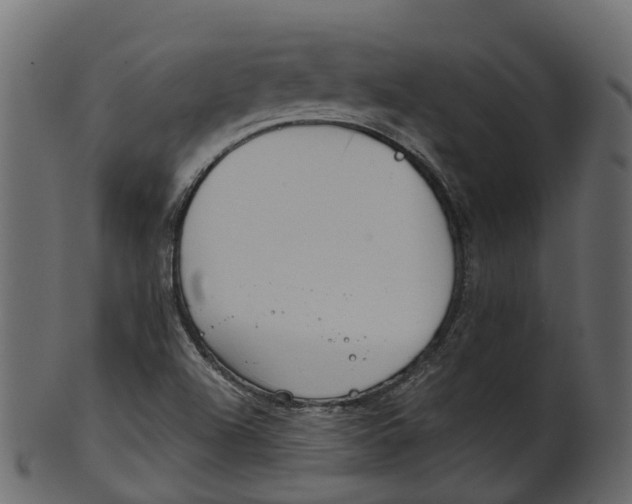 X0000100471504200807031815