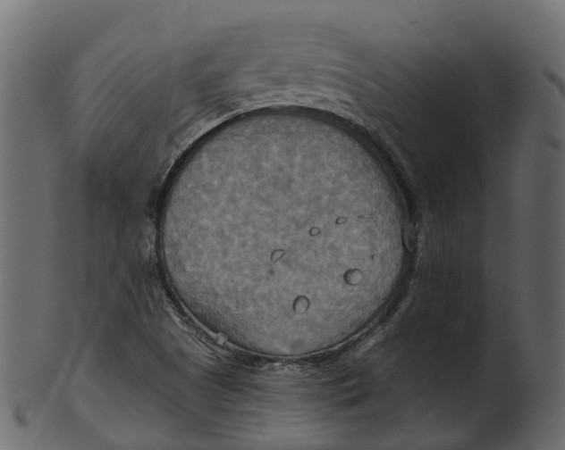 X0000100471505200807031815