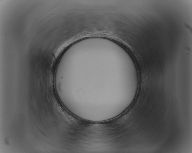 X0000100471506200807031815