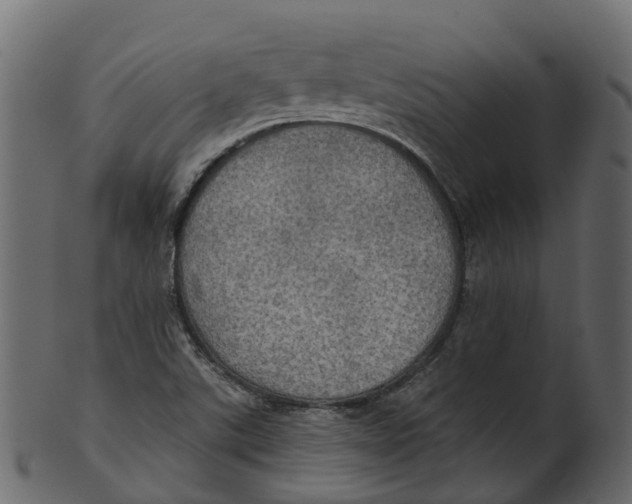 X0000100471507200807031815