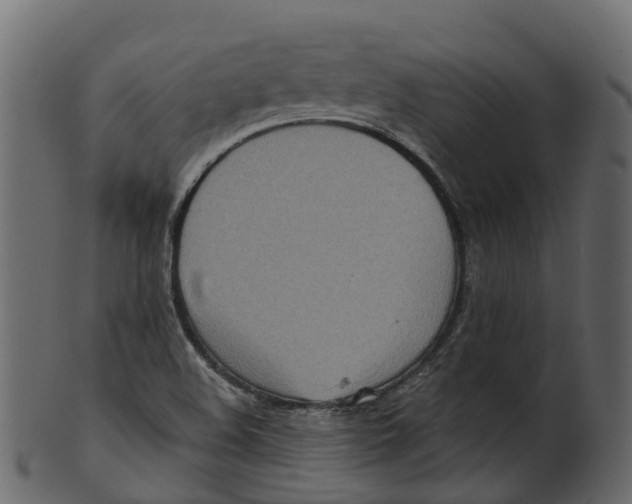 X0000100471508200807031815