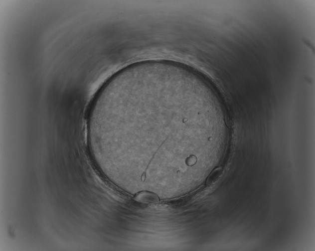 X0000100471509200807031815