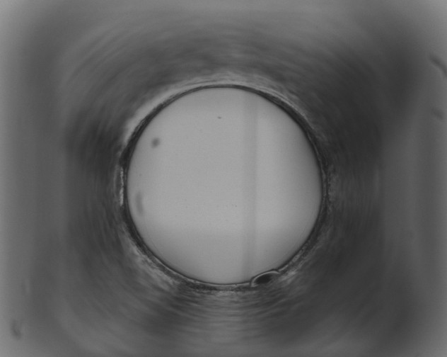 X0000100471510200807031815