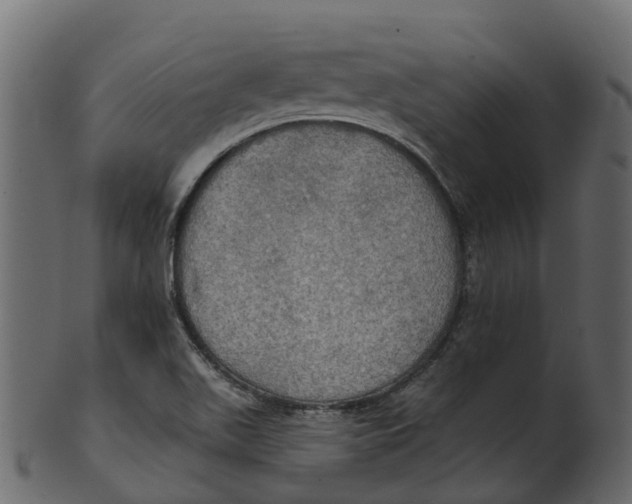 X0000100471511200807031815