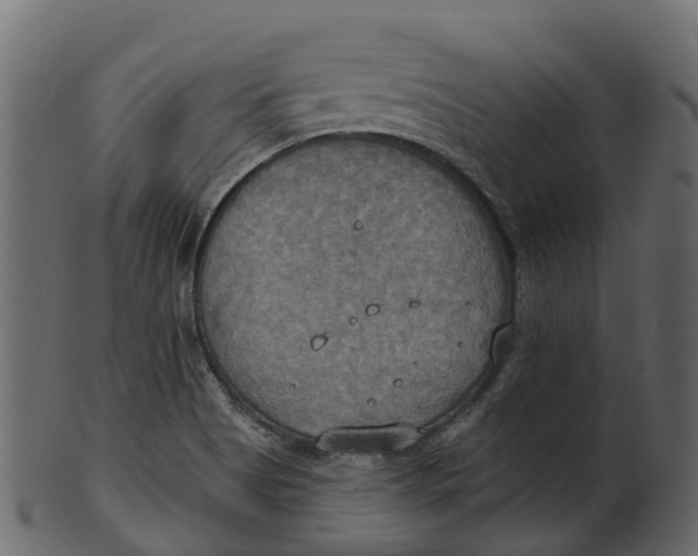 X0000100471513200807031815