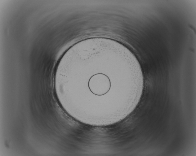 X0000100471514200807031815