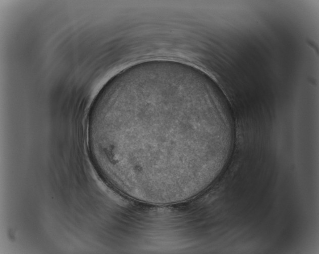 X0000100471515200807031815