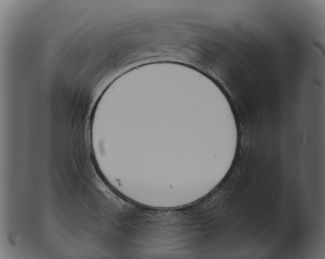 X0000100471516200807031815