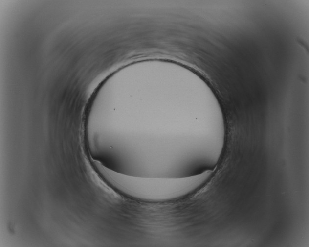 X0000100471518200807031815